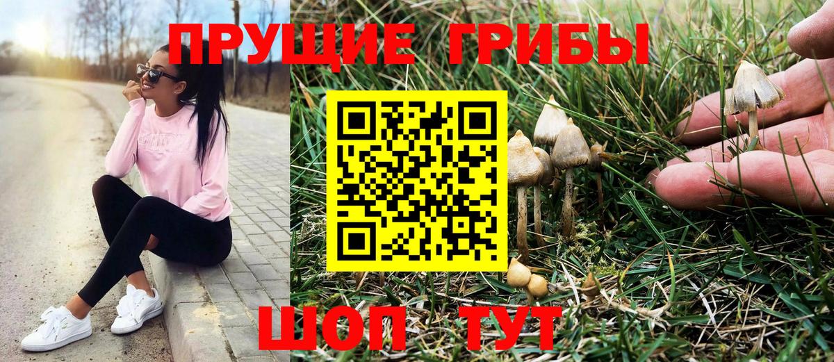 Псилоцибиновые грибы ЛСД  Вход с VPN  Галлюциногенные грибы MAGIC MUSHROOMS  Красногорск 